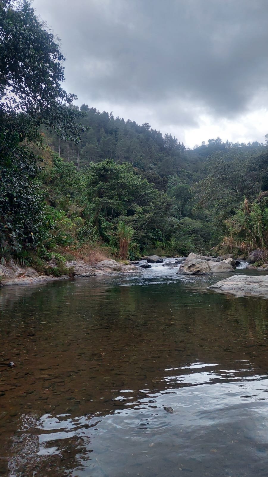 Paisaje 10