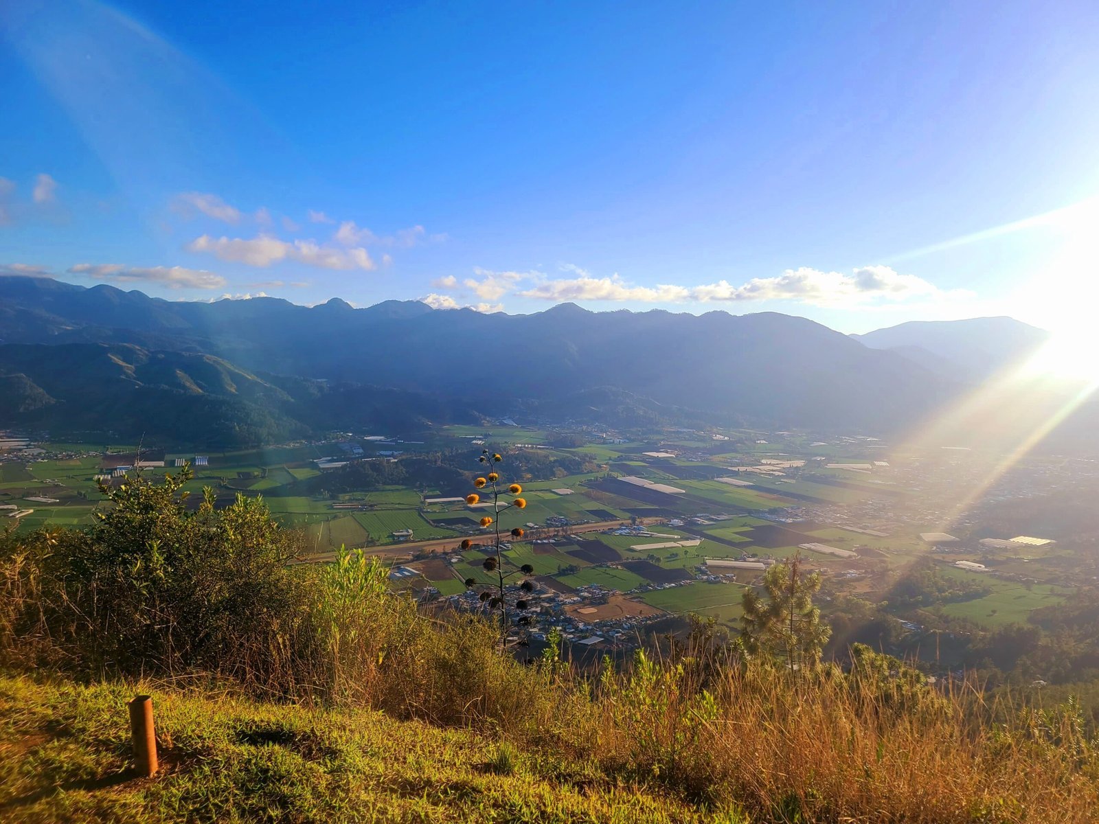 Paisaje 2
