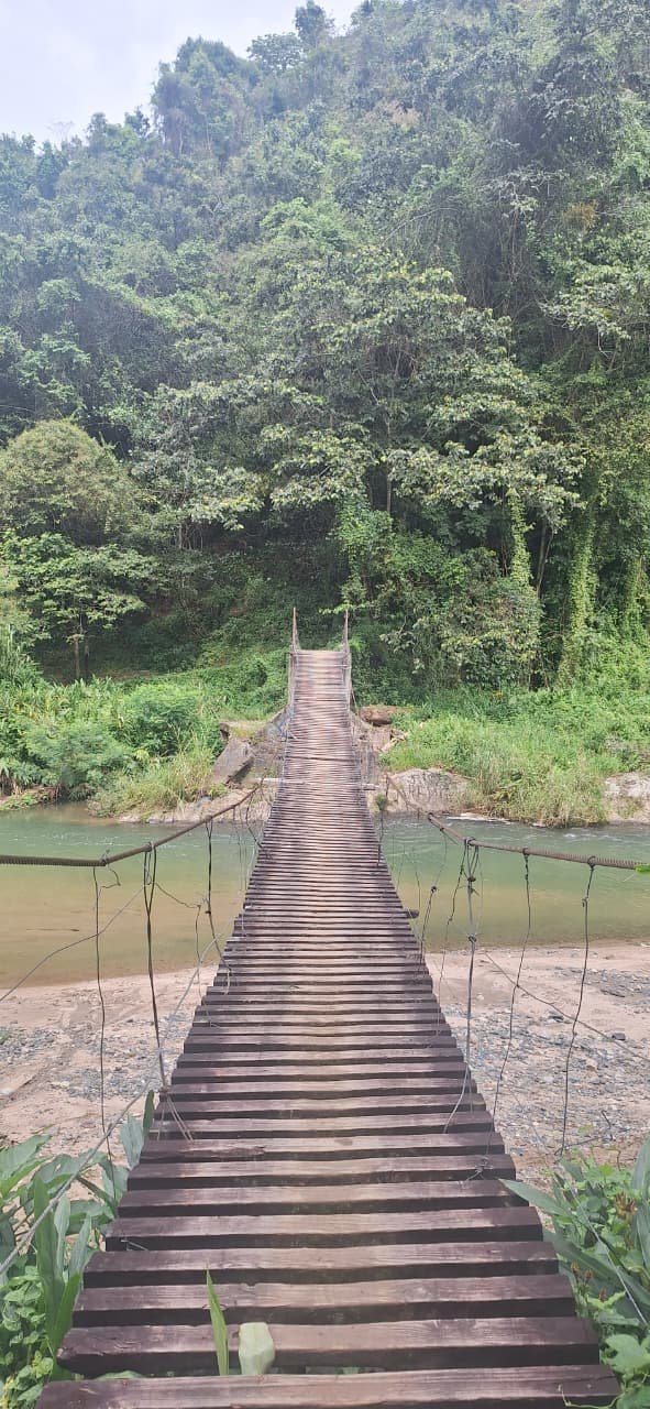 Paisaje 3