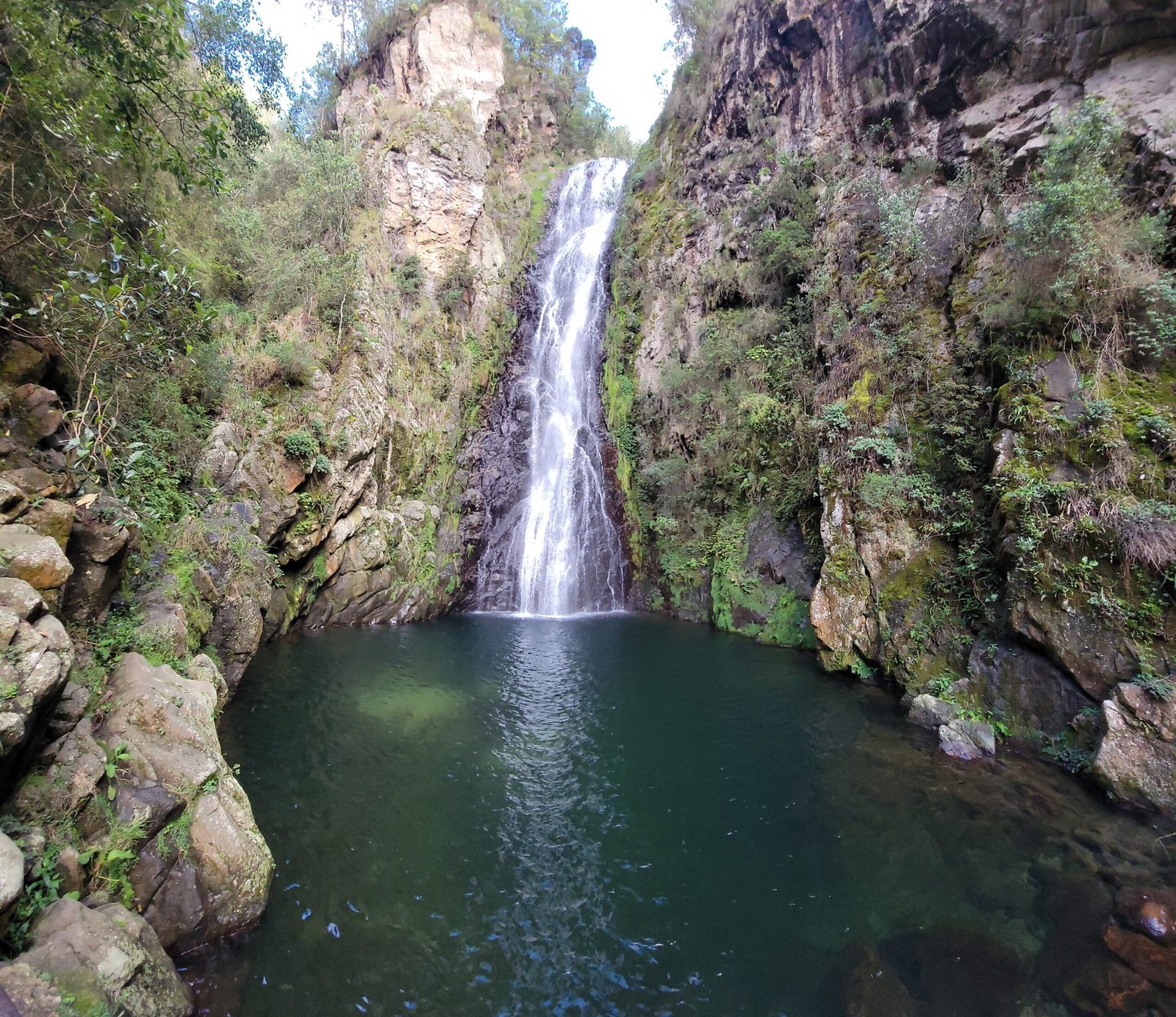 Paisaje 4