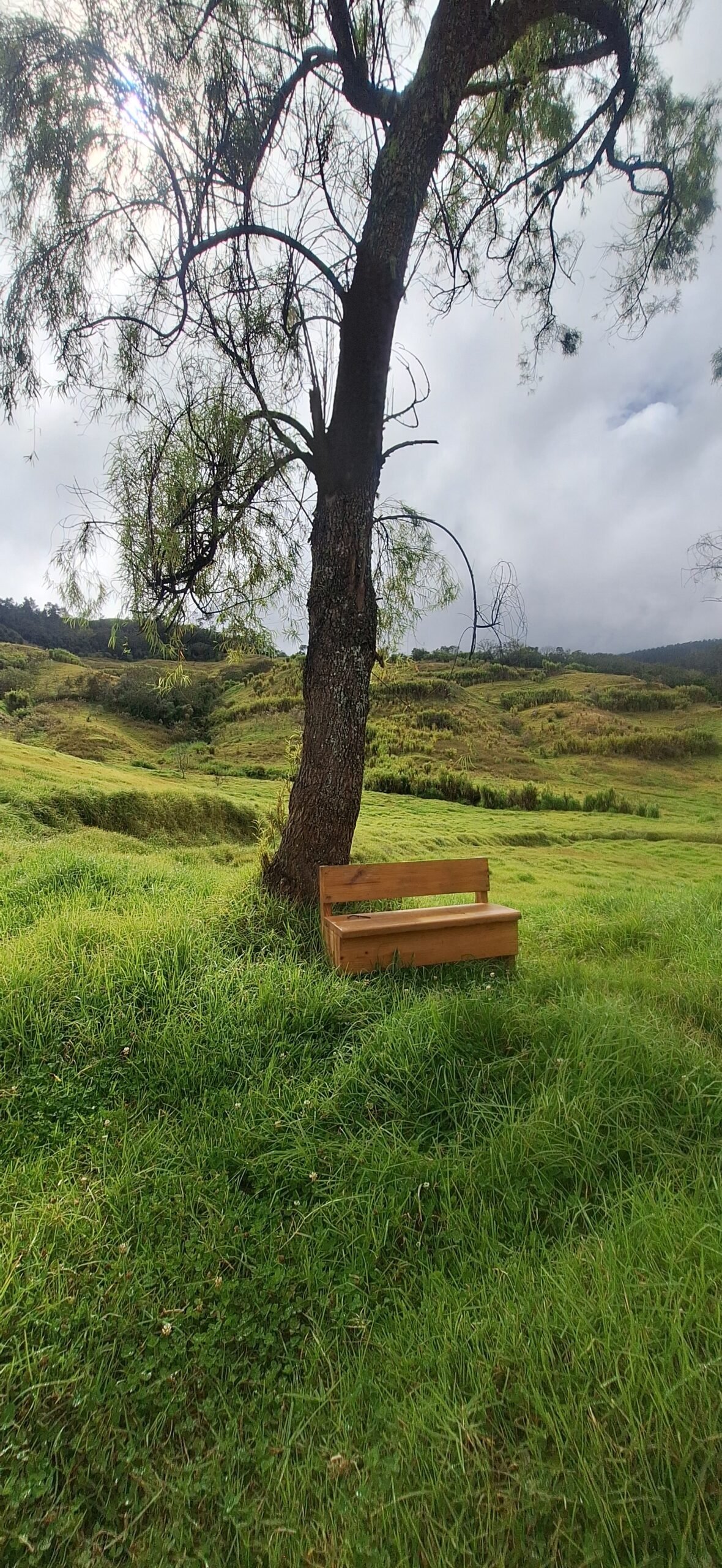 Paisaje 5