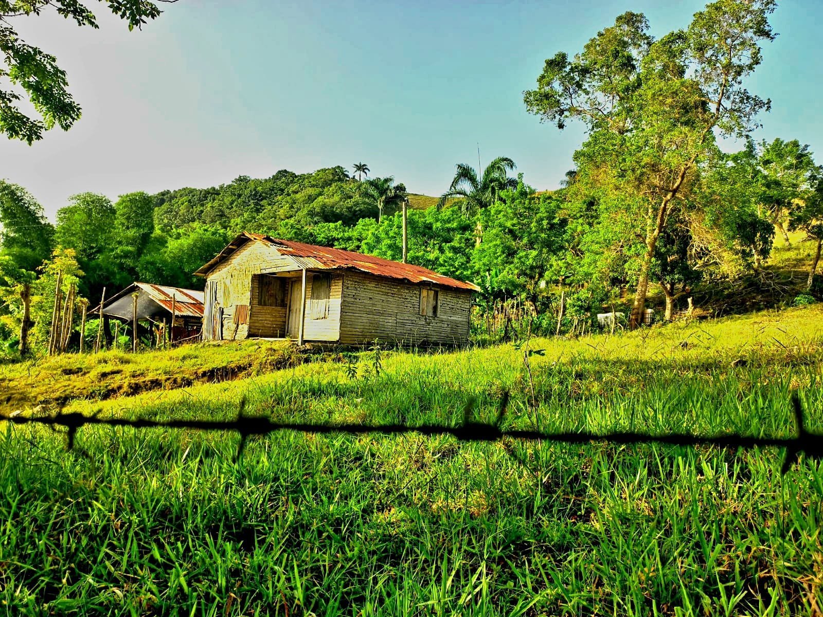 Paisaje 6