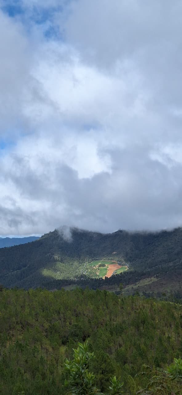 Paisaje 7