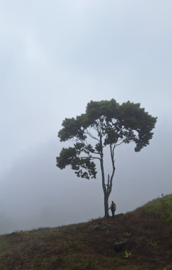 Paisaje 8